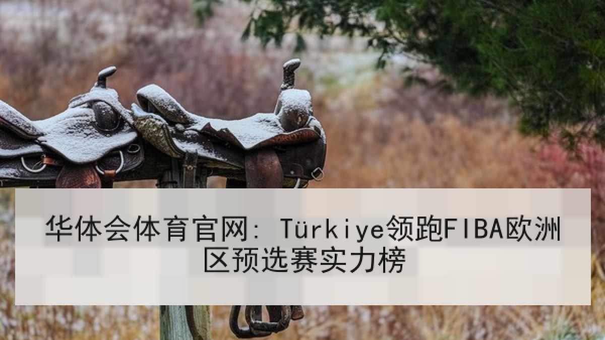 华体会体育官网: Türkiye领跑FIBA欧洲区预选赛实力榜