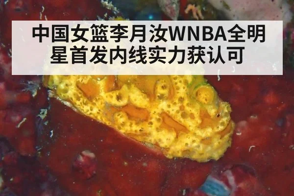 中国女篮李月汝WNBA全明星首发内线实力获认可