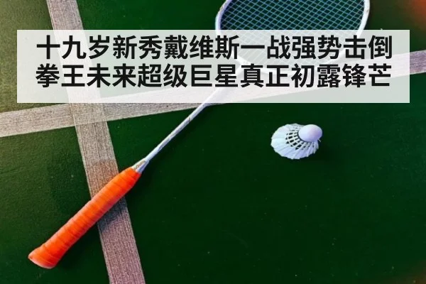 十九岁新秀戴维斯一战强势击倒拳王未来超级巨星真正初露锋芒